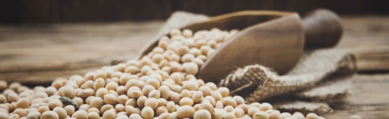 چرا سویا برای تیروئید کم کار ضرر دارد؟ بررسی کامل اثرات پنهان